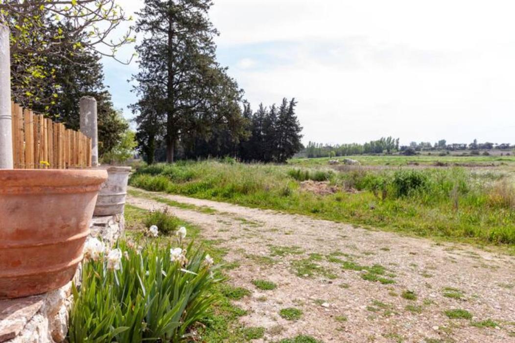 Casa Côté Sud - Mas Bois Fontaine Vila Nîmes Exterior foto